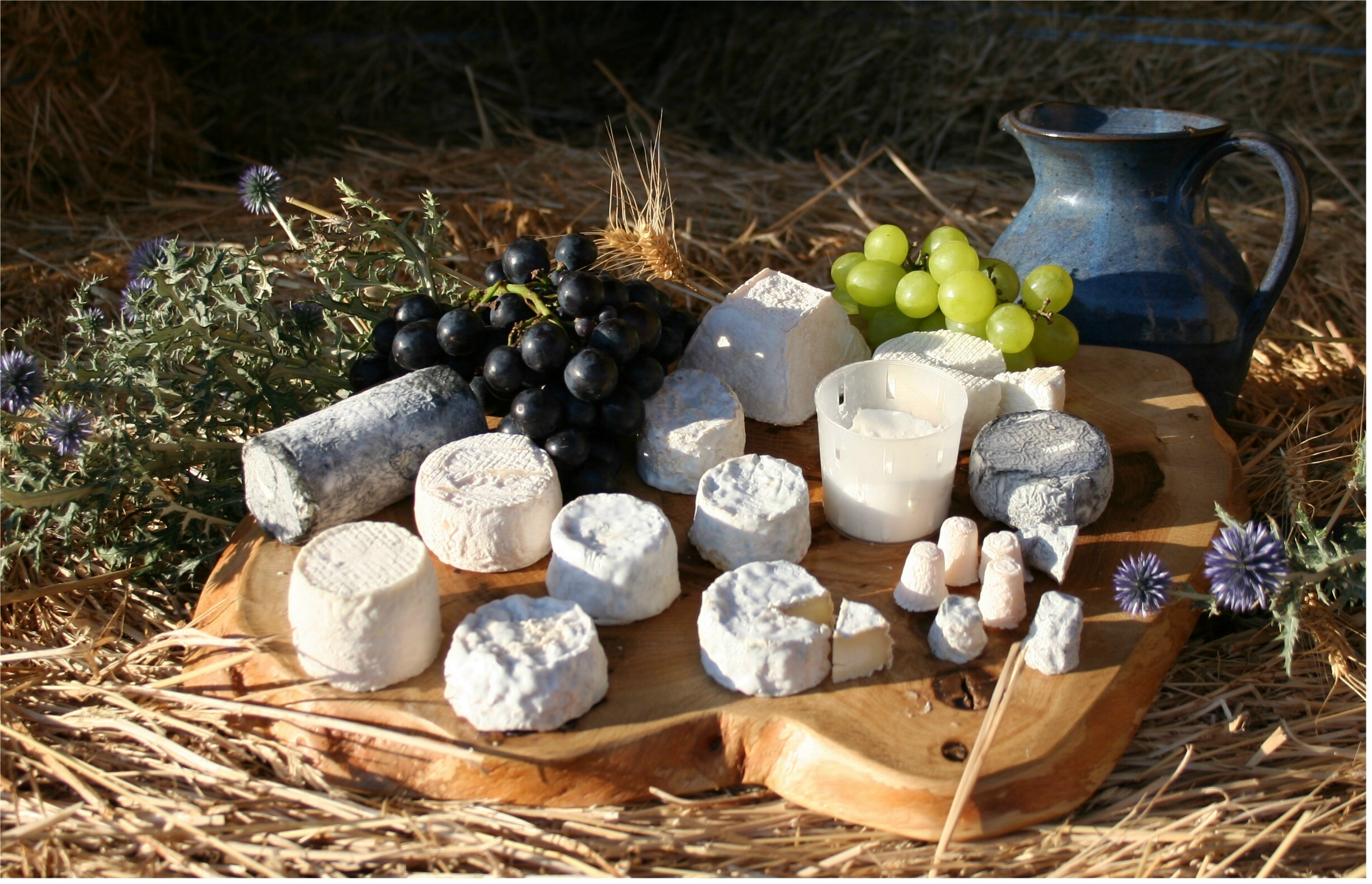Un hermoso bodegón con un puñado de las variedades de quesos de cabra de Francia.