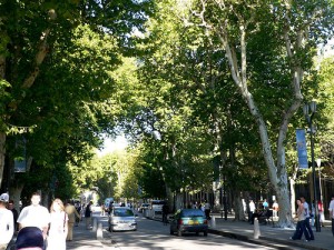 La arteria más animada de la ciudad un buen preludio para adentrarse en la zona vieja.