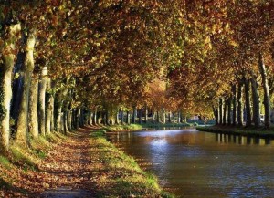 Vista paradisíaca del Canal du Midi entre hileras de árboles. Una idea genial para un viaje diferente.