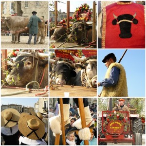 Fiesta del boeuf gras en Bazas, cerca de Burdeos.